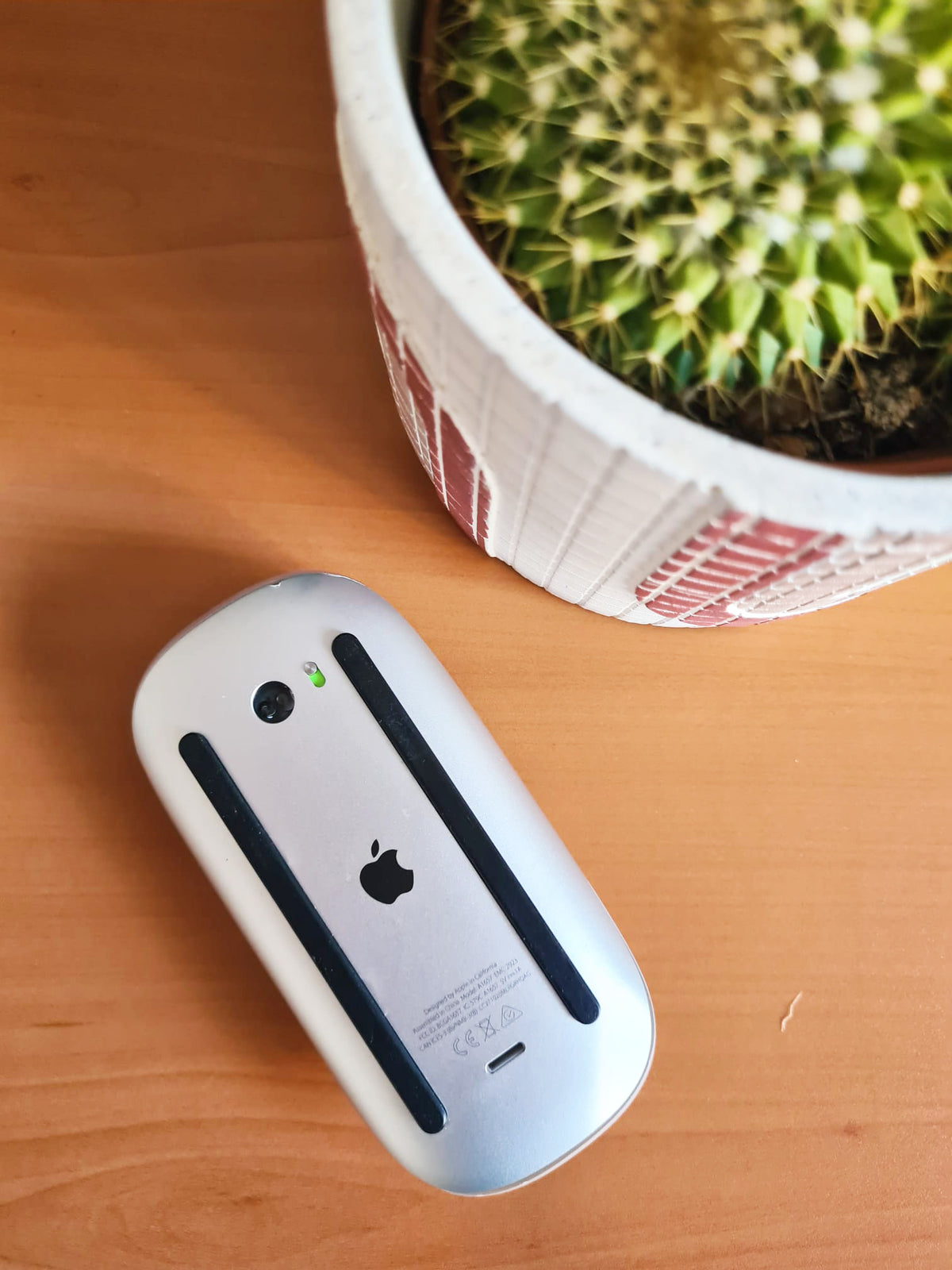 Apple Magic Mouse 2 vista posterior junto a cactus