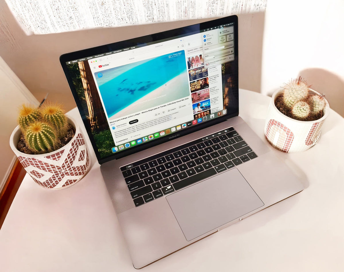 MacBook Pro 15 2019 almacenamiento SSD 512GB información del sistema