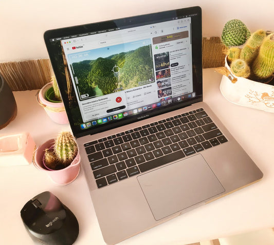 MacBook Pro 2017 abierto en escritorio con cactus