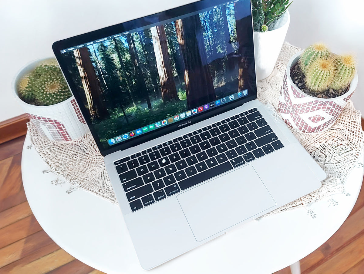 Apple MacBook Pro SSD 256GB Sequoia Garantía Ram
