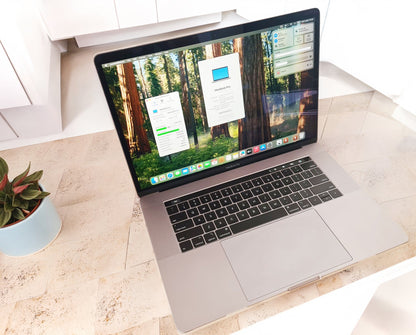MacBook Pro 15 2018 - Información del Sistema tarjeta de vídeo Radeon 560X