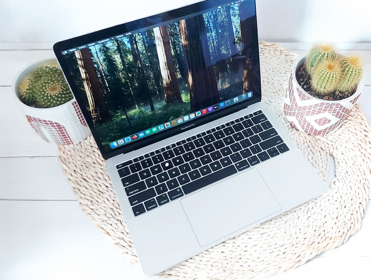 Apple MacBook Pro SSD 256GB Sequoia Garantía Ram