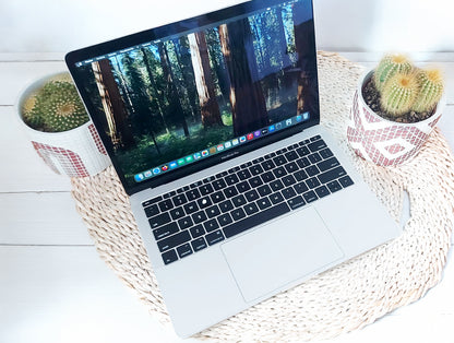 Apple MacBook Pro SSD 256GB Sequoia Garantía Ram
