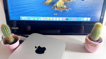 Mac Mini Late 2012 tapa superior logo Apple vista superior con cactus