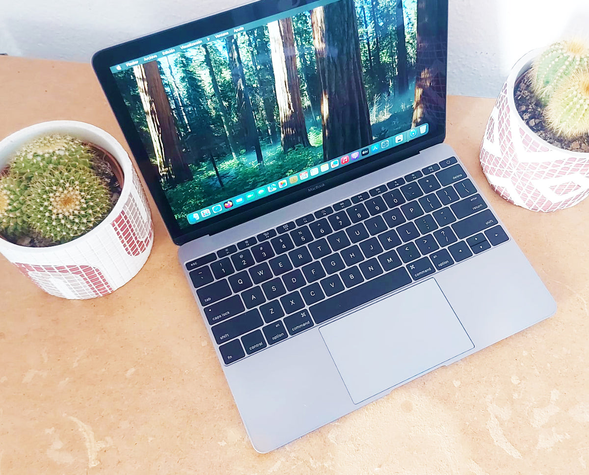 Apple MacBook 12" SSD 512GB Sequoia Garantía m7