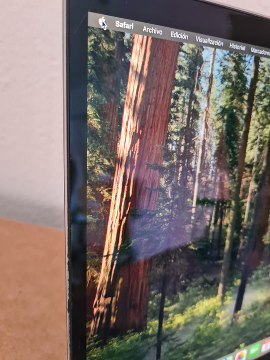MacBook Pro 15 2019 coconutBattery batería 100% 1 ciclo